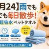 【5月24日】雨でも雪でも毎日散歩！｜雨の日の味方！速乾超吸水ペットタオル