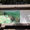 七尾城に登ってきた思い出を語ります