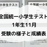 4歳半で終了 七田式プリントcは年少でも取り組めます 澤深尋さわみひろの知育