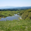 産山の扇棚田。（2）