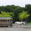 白馬牽く馬車鉄道（2017年月イチ日本・夏休み編；その10）