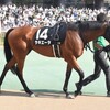 【一口馬主／ラキエータ】いざ飛躍の秋へ