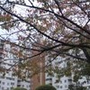勝俣部長の「ため息」１０７６････知りたい