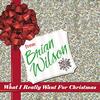 ブライアン・ウィルソン『What I Really Want for Christmas』購入