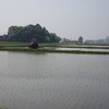 田植え。(2020.5.2土)