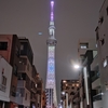 3月半ばの癒やしに