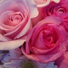 ピンクの花束