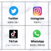 ＳＮＳは洗脳の道具！　ＦＢやツイッター、インスタグラムに使われないように生きる！