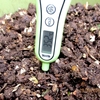 今日の植木鉢処理器-3/29
