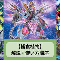 3⭐️ブラック・ローズ・ドラゴン／バスター10枚】遊戯王OCG ヴァリュアブルブ 明日3/19㊍発売❗️ 📖━━━━━━━━━ ザ・ヴァリュアブル・ブック