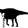 世界の巨大恐竜博2006始末記①　ズビ・アトランティクスZby atlanticus