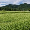 開田高原で癒された。でもちくわはビクビク😖