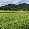 開田高原で癒された。でもちくわはビクビク😖