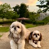 綺麗な夕空見ながら