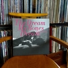 石橋英子: The Dream My Bones Dream (2018) レコードで聴く意味は何だろう