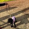 暑❗️・・・日中21°Cの晦日正月