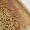 Mô hình nuôi ong tự nhiên lấy mật phát triển mạnh ở Quản Bạ