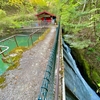 岩下池（福島県いわき）