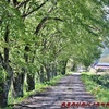 夏の終わりの高山遠征レポ