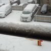 こんな雪の日に。。。