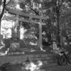 【讃岐國】鵜足郡・宇閇神社。