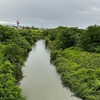 5月24日(日) 栖吉川散歩、原信飯