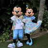 アウラニひとり旅（キャラクターグリーティング１） / Traveling Alone to Aulani, Disney Resort and Spa (Character Greeting 1)