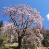 今年の総括