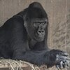 優しい人たち ／ 喉元過ぎれば…