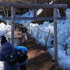 「あしがくぼの氷柱」に行ってきました（１）。