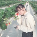 Peppeng’s diary