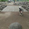 #049 散歩(16)十八河原公園