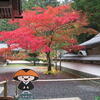 関西旅行♪（高野山奥の院へその５、２日目その１９、和歌山県伊都郡高野町大字高野山）