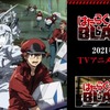 『はたらく細胞BLACK』2021年1月TVアニメ化決定！ナレーションは津田健次郎【テニプリ乾・遊戯王海馬・北斗ユダ】ヨンジｷﾀ━━━━(ﾟ∀ﾟ)━━━━!!