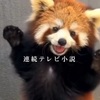 ねこたま日記（6月13日）