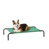 【夏の犬用ベッドはコレ！】Amazonベーシック脚付きメッシュベッドの正直レビュー：熱中症対策に効果は？
