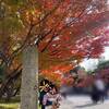 【1歳&5歳*秋のおでかけ】京都宇治へ、少し早い紅葉狩りに行ってきました！