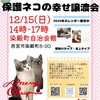 JR西宮駅｜2024年12月15日（日）「保護ネコの幸せ譲渡会」が染殿町自治会館で開催されます🐈