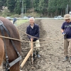 馬耕イベント、セラピー乗馬、障害者のための乗馬