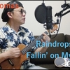 【英文和訳＆弾き語り#027】〜 Raindrops Keep Fallin' on My Head 〜 雨にぬれても