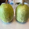 渡がボランティア先からいただいて帰ってきたもの