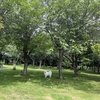 公園貸切