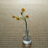 日本国王秋篠宮文仁殿オスマントルコ祝訪 ５