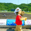 マリンに集う我ら(1)：高知ファイティングドッグス対徳島インディゴソックス＠室戸(2025.6.1.)