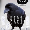 「とことんカラス」を読みました