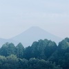 今朝の景色