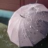 傘の撥水を復活させたい！古い傘の雨粒をコロコロにする方法ベスト3