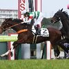 【キャロットクラブ】今週の注目出走馬！