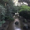 ブログの モチベーションが ダダ 下がり した話