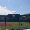 プロ野球 オープン戦